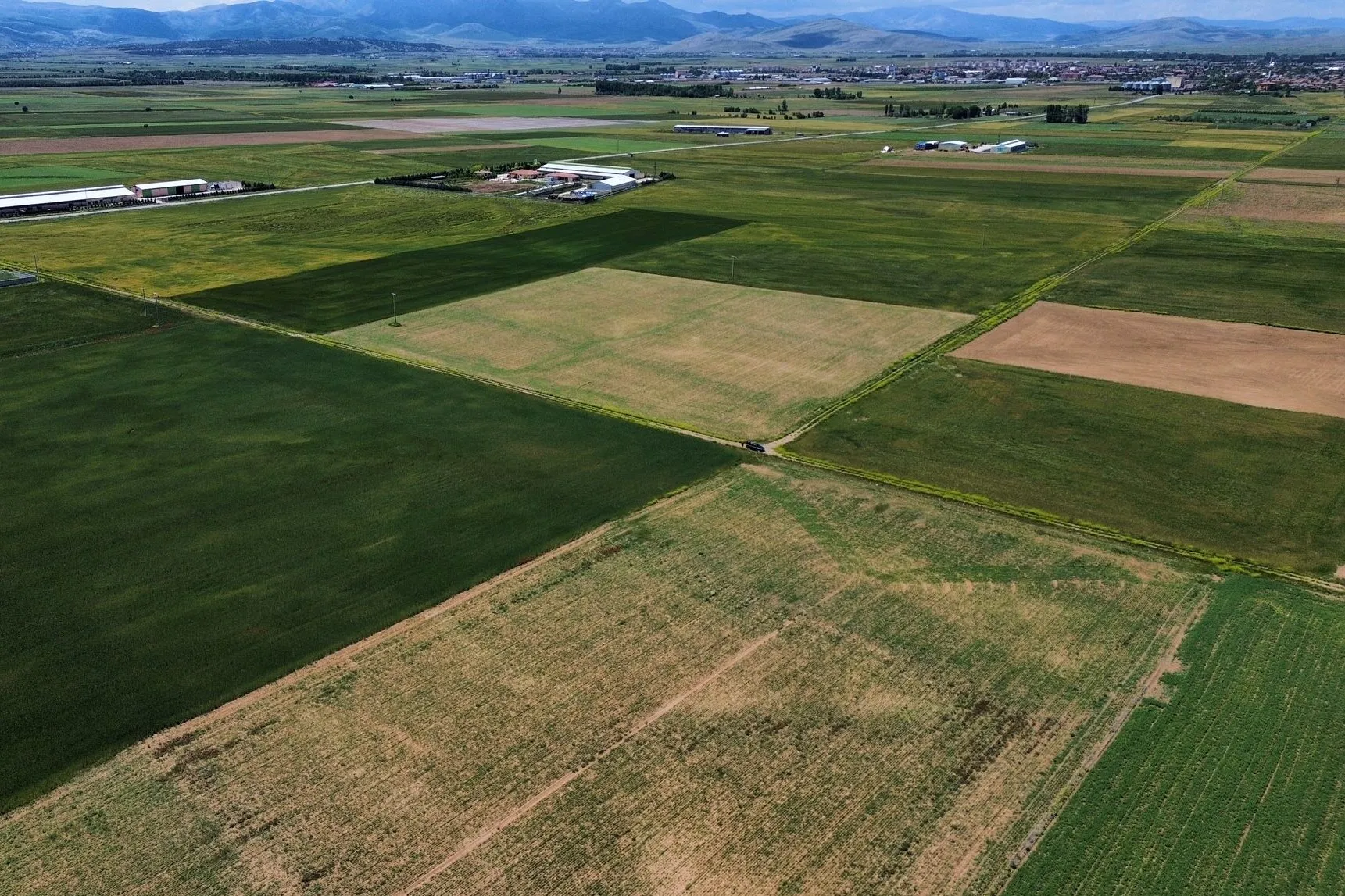 KONYA SARAYÖNÜ YUKARI'DA SATILIK 14.452 M2 KUPON TARLA!